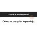Shy Porter Preguntas 1 22