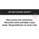Shy Porter Preguntas 1 28