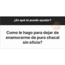 Shy Porter Preguntas 1 13