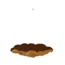 Hámster Cute   Mov 23