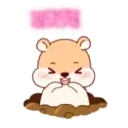 Hámster Cute   Mov 10