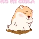 Hámster Cute   Mov 8
