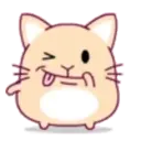 cute hamster 18