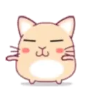 cute hamster 2