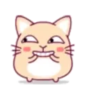 cute hamster 13