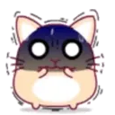 cute hamster 21