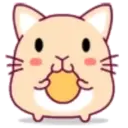 cute hamster 23