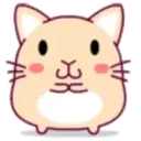 cute hamster 11