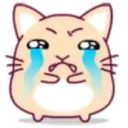cute hamster 4
