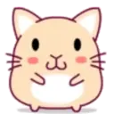 cute hamster 1