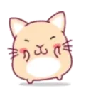 cute hamster 6