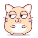 cute hamster 5