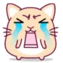 cute hamster 15