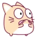 cute hamster 9