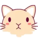 cute hamster 20