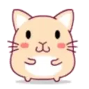 cute hamster 8
