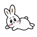 TOKE BunnyMOV 2