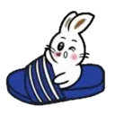 TOKE BunnyMOV 23