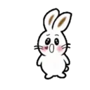 TOKE BunnyMOV 17