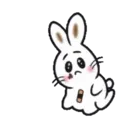 TOKE BunnyMOV 1