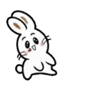 TOKE BunnyMOV 25