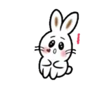 TOKE BunnyMOV 24