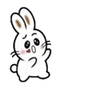 TOKE BunnyMOV 19