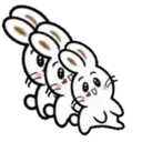 TOKE BunnyMOV 15
