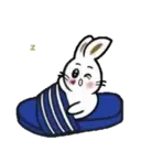 TOKE BunnyMOV 27