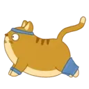 CAT FITNESS. mov 14