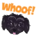 Whoof!