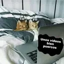 Gatos 7w7 25