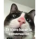 Gatos 7w7 30