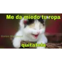 Gatos 7w7 23