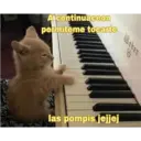 Gatos 7w7 10