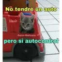 Gatos 7w7 21