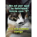 Gatos 7w7 6