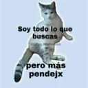 Gatos 7w7 17