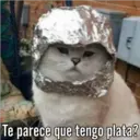 Te parece que tengo plata?