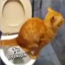 Tu
OPINION