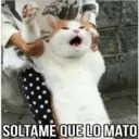 SOLTAME QUE LO MATO