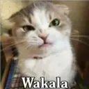 Wakala