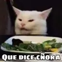 QUE DICE CNORA