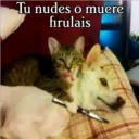 Tu nudes o muere
fırulais