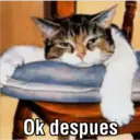 Ok despues
