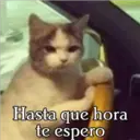 Hasta que hora
te espero
