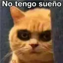 No tengo sueño
GL
