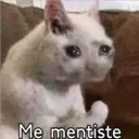 Me mentiste