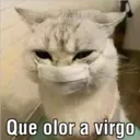 Que olor a virgo