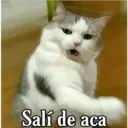 Salí de aca